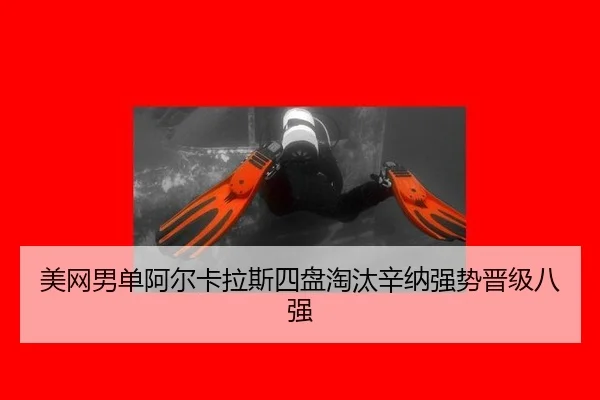 mei-wang-nan-dan-a-er-ka-la-si-si-pan-tao-tai-xin-na-qiang-shi-jin-ji-ba-qiang-2-773.jpg